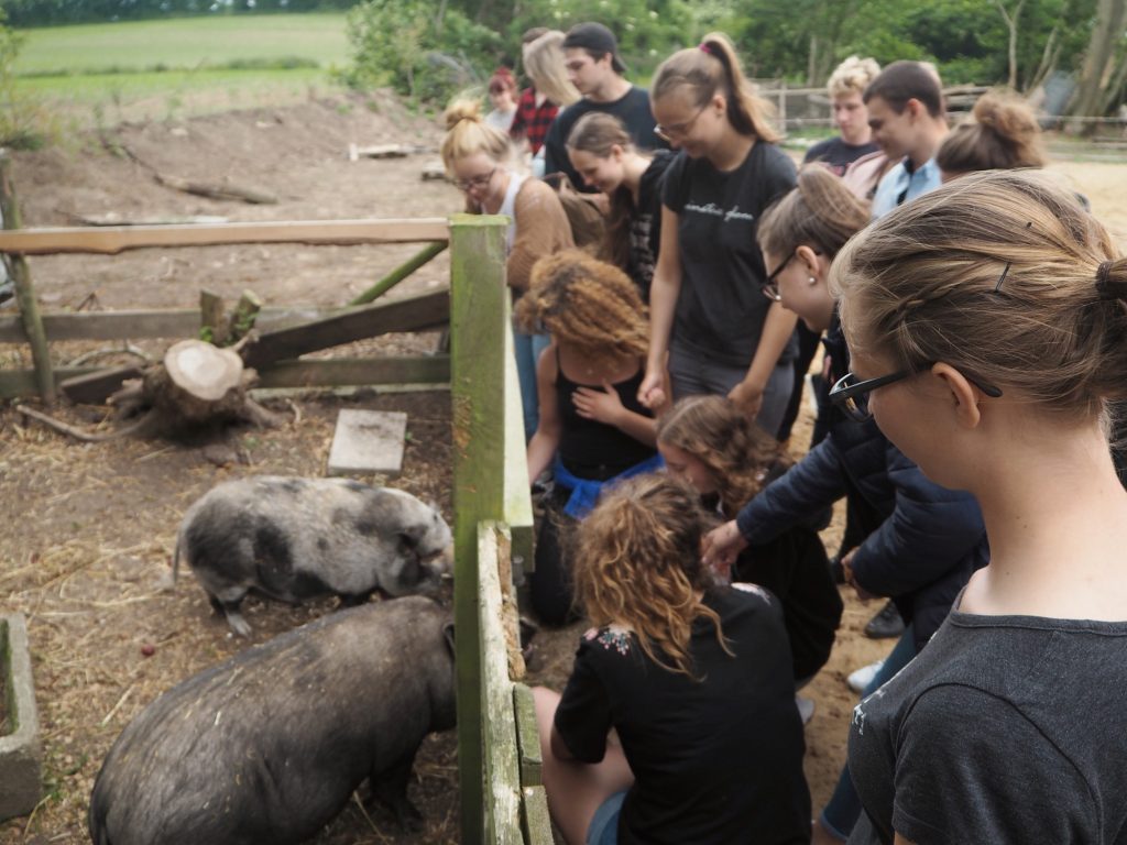 Seminargruppe besucht einen bauernhof